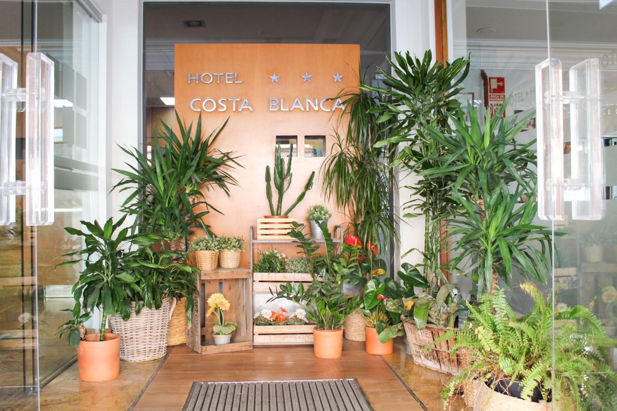 Hotel Mr Costa Blanca 德尼亚 外观 照片